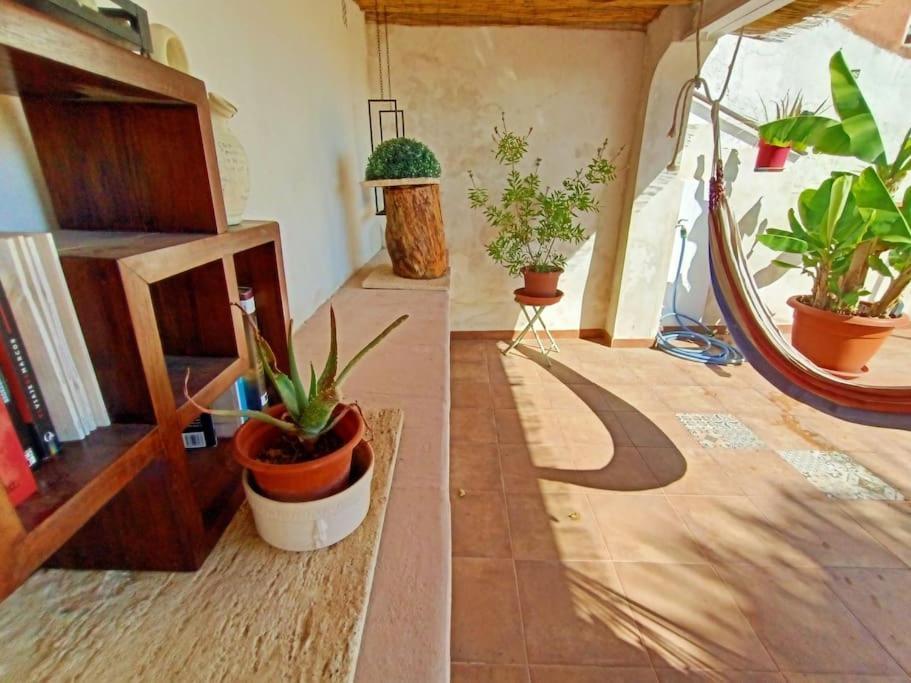 Villa Falconera Apartaments, Gandia A Las Faldas De La Montana Exterior foto